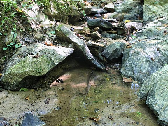 The stream running through the middle of the property toward the east boundary