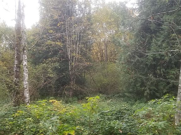 5th image of 16313 258th Ave SE