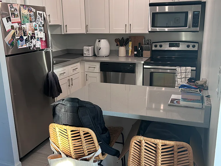 3550 N Lakeshore Dr #1228 — Photo 5