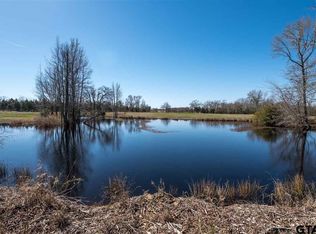 12099 E High Way #64, Ben Wheeler, TX 75754
