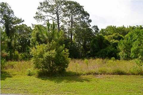 4th image of 408 Colorado Dr