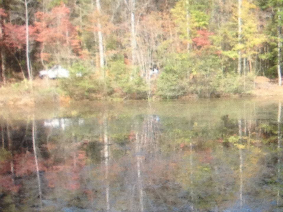1st image of 134 Natures Way Dr