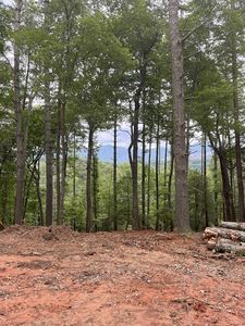 LOT 592 Sapulpa Ct, Ellijay, GA, 30540