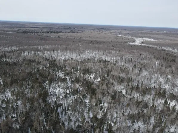 160 Acres Via Easement County M Road, Hawkins, WI 54530