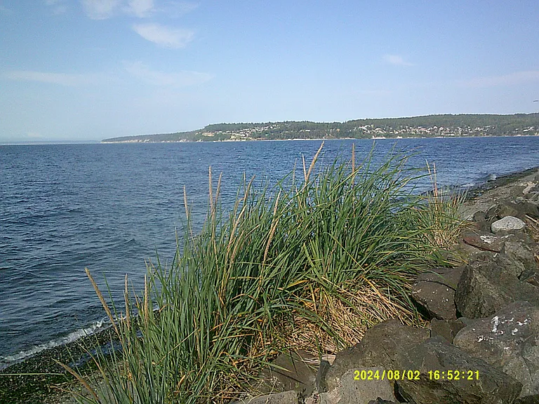 131 Beach Dr — Photo 26