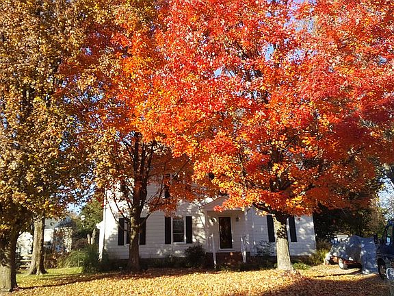 4th image of 10609 Woodshire Way