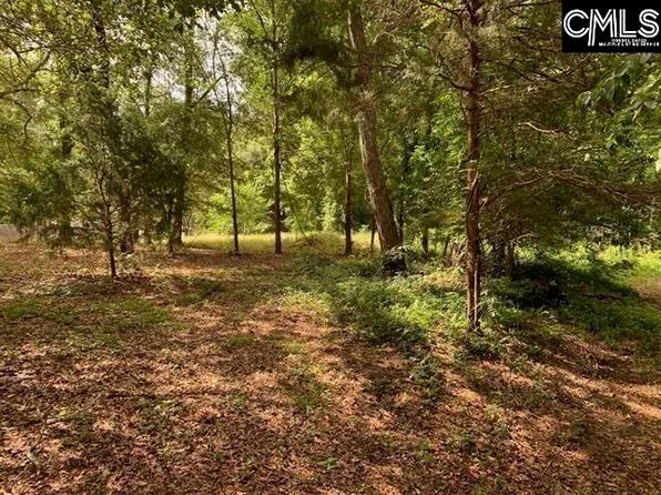 436 Peach Festival Rd, Gilbert, SC 29054