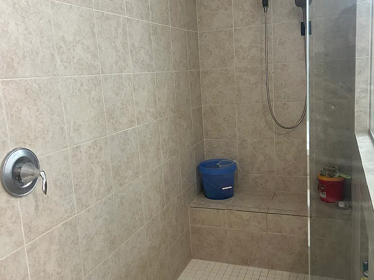 Master Bathroom Shower