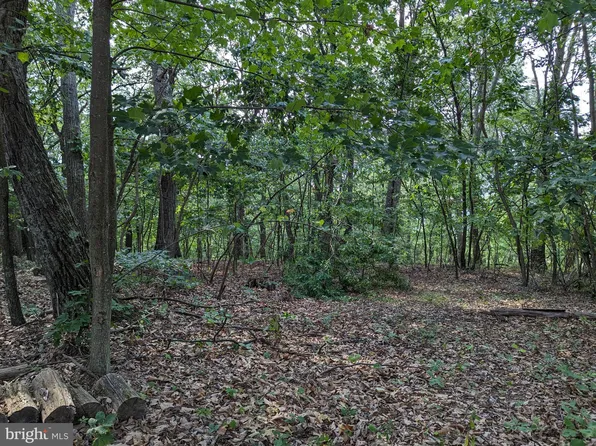 Tall Doe Trl, Augusta, WV 26704