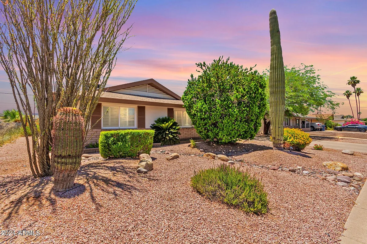 Front Yard - 1227 E Campus Dr