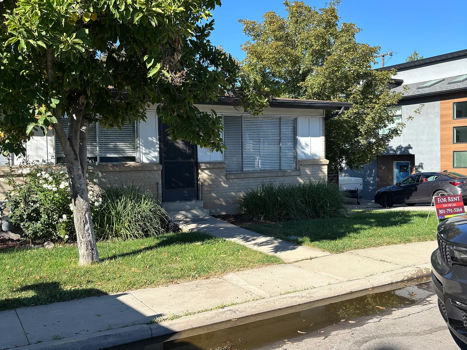 1665 E Phebe Lane — Photo 3