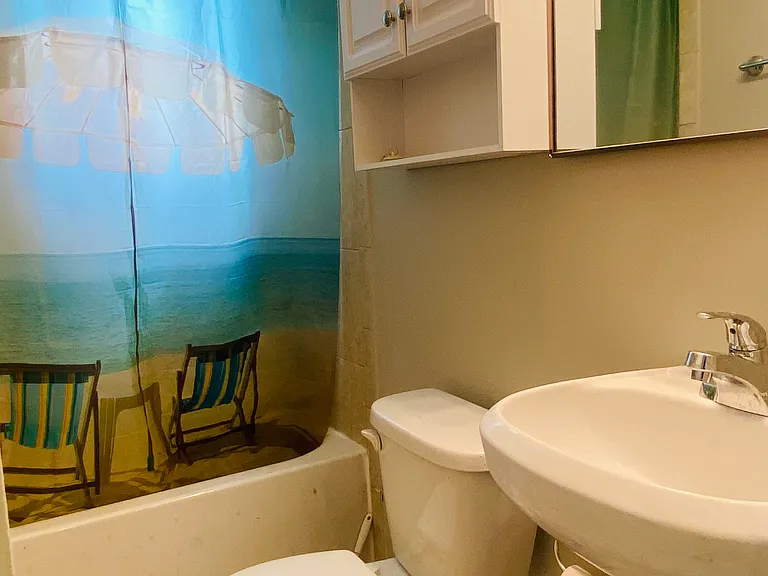 Back bathroom