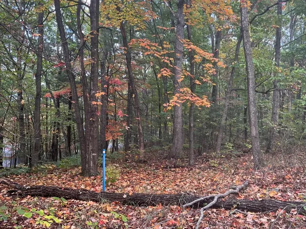 Supinlick Rdg, Mount Jackson, VA 22842