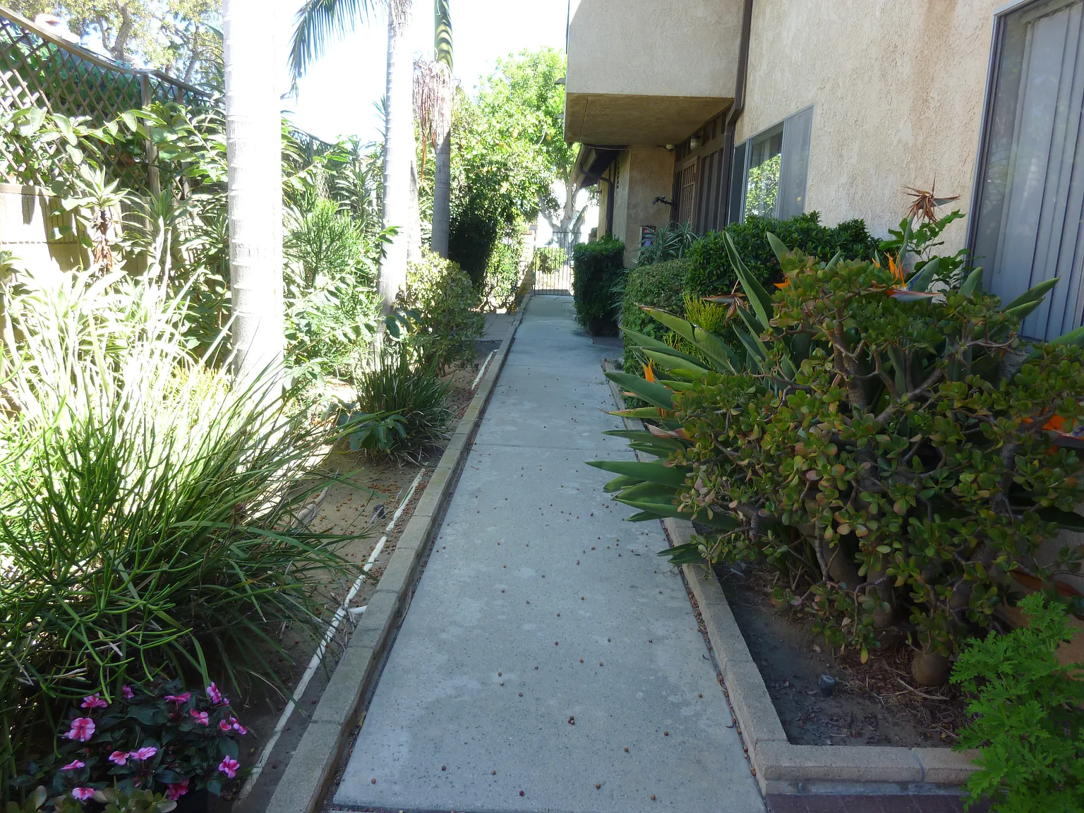 2 bed, 800 sqft, $2,300 — Photo 3