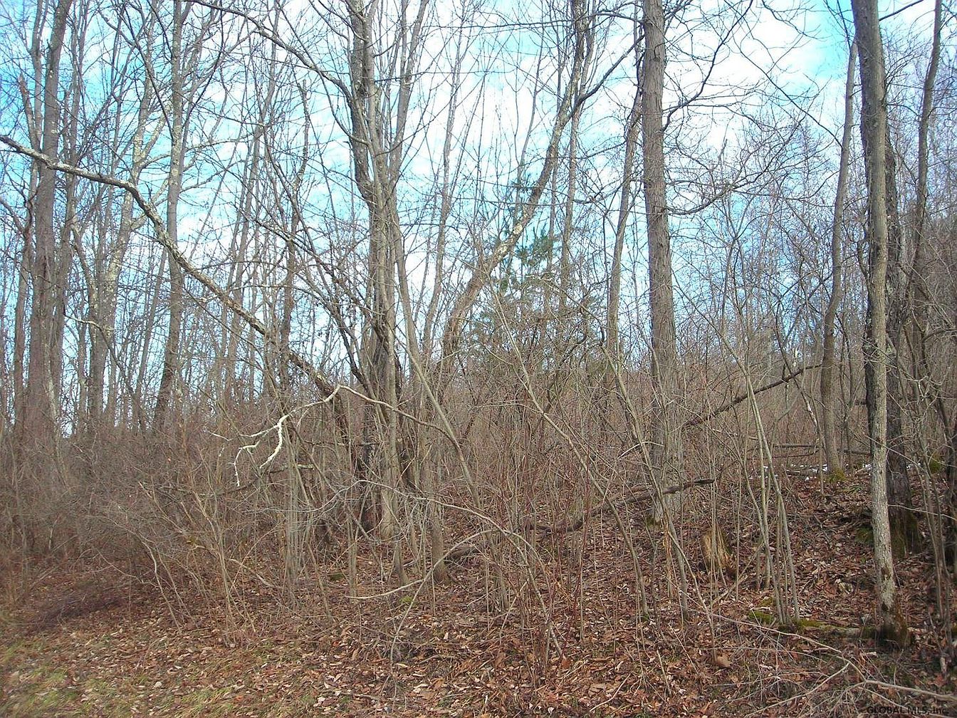 1st image of 0 WEAVER DAM Road
