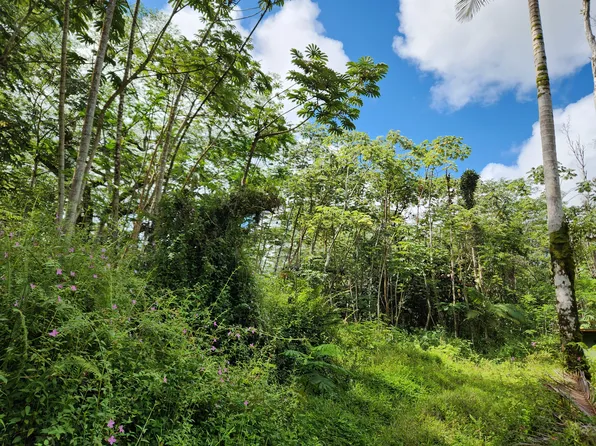 Hibiscus Cir, Pahoa, HI 96778