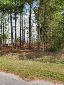 Lot 4 State Rd 1122 Road, Chocowinity, NC, 27817