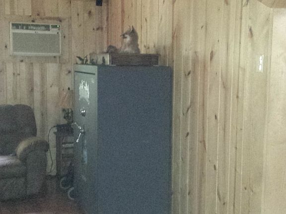 add on room pine ceil/wall