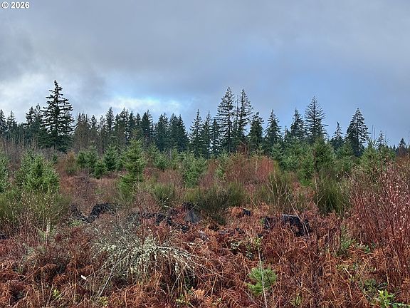 2nd image of 0 S Shibley Rd