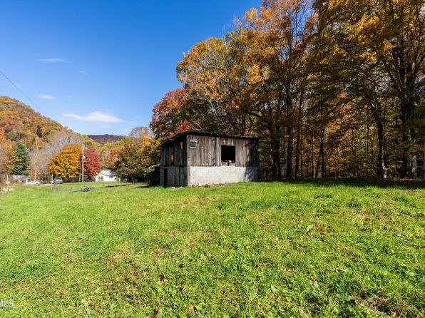 140 Doe Ln, Roan Mountain, TN 37687