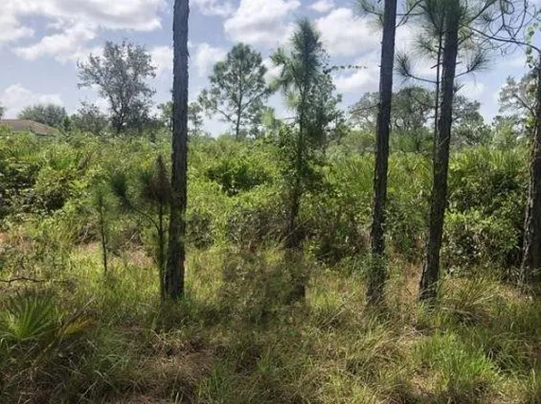 0 Dixon Road, Avon Park, FL 33825