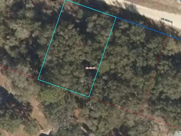NE 62nd Pl, Williston, FL 32696