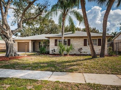 4807 Wynwood Dr, Tampa, FL, 33615
