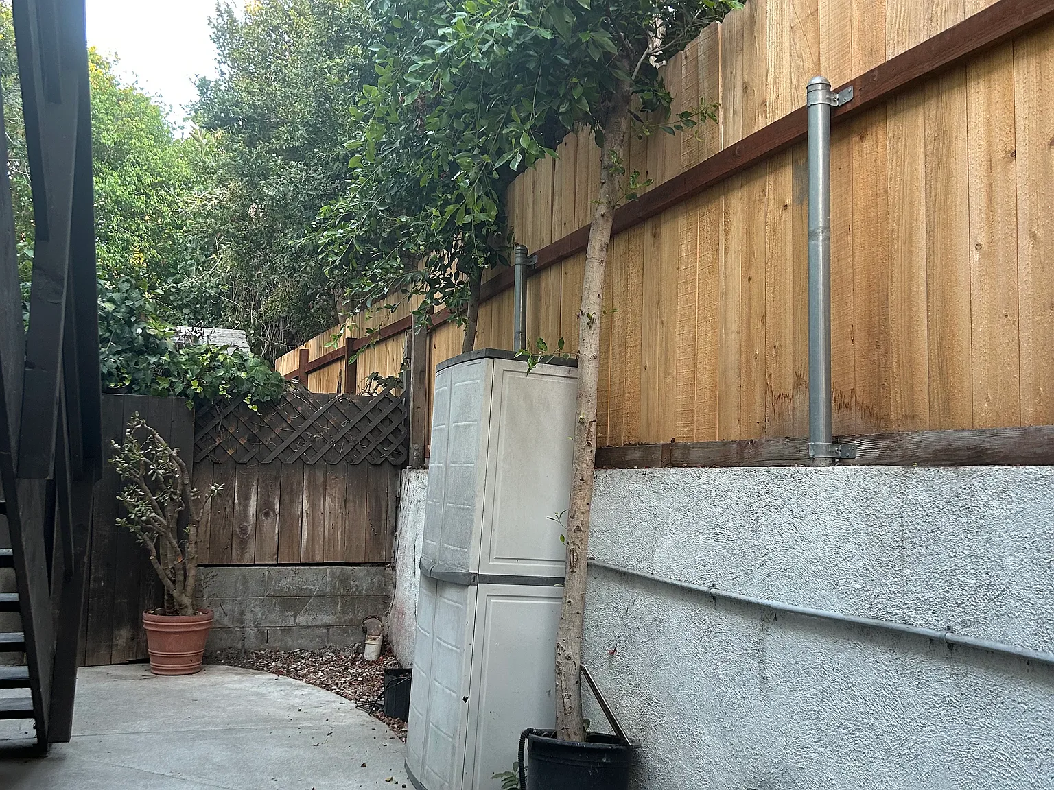1 bed, 500 sqft, $3,000 — Photo 2