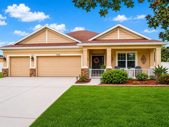 17539 Buckingham Garden Dr, Lithia, FL 33547