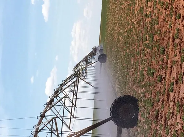 (undisclosed Address), Denver City, TX 79323