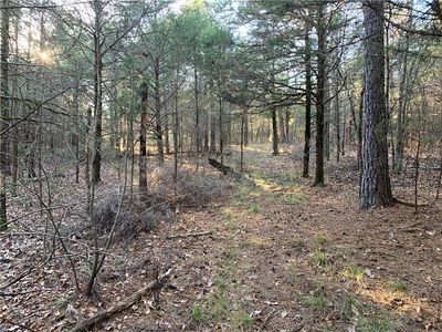 County Road 40, Cecil, AR, 72930
