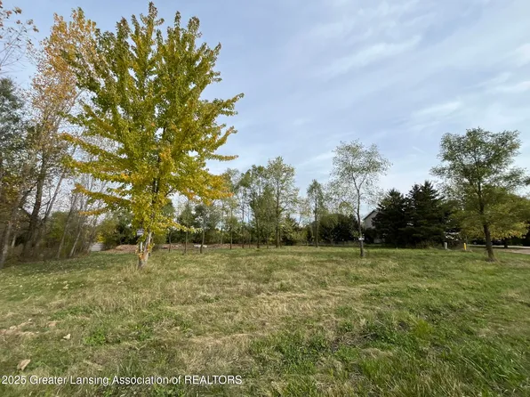 LOT 18 Amy Ln, Mulliken, MI 48861