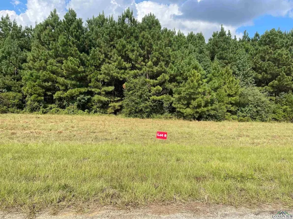 8 County Road 2204d & Dm #1797, Tatum, TX 75691