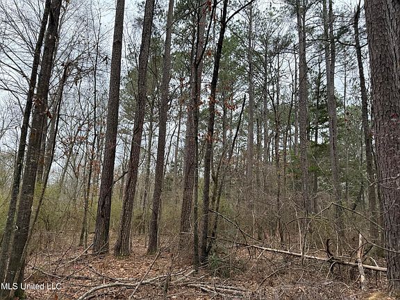 2nd image of Mount Elam Church Rd