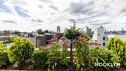 Rented by Nooklyn NYC LLC