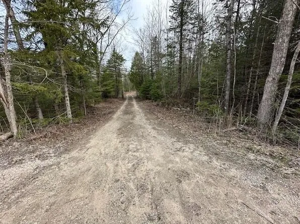 E5716 Simmons Rd, Hessel, MI 49745