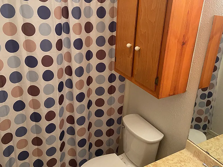 114 Lady Bird Ln #4 — Photo 8