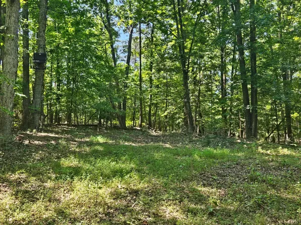 0 Gladys Rd Lot 1, Altavista, VA 24517