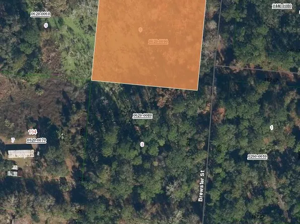 115 BREWSTER Street, Satsuma, FL 32189