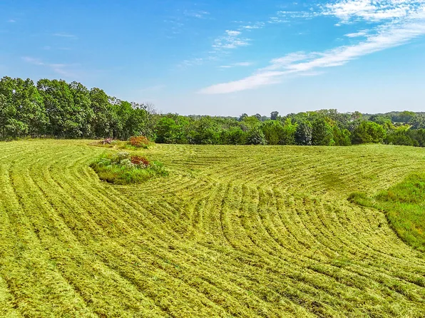 N Barnett School Rd, Sturgeon, MO 65284