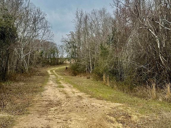 5th image of 0 Whitfield Rd