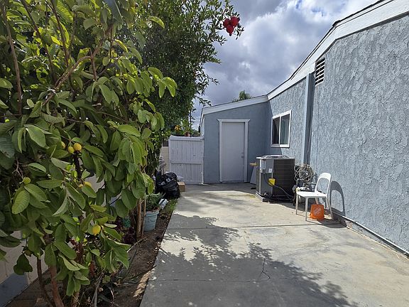 Fruit trees in side yard and back yard.
