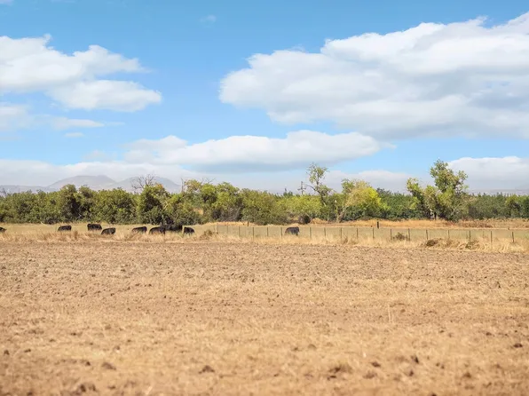 22590 Rodeo Ave, Gerber, CA 96035