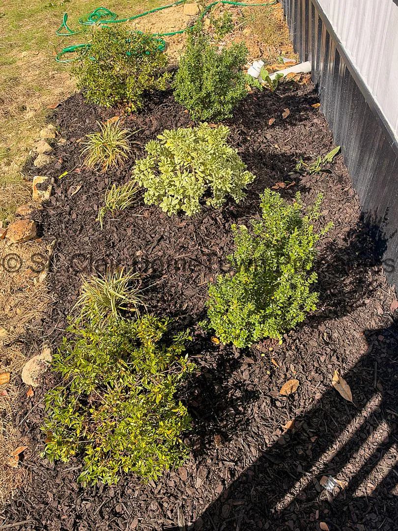 Tiny Home in Cropwell — Photo 4