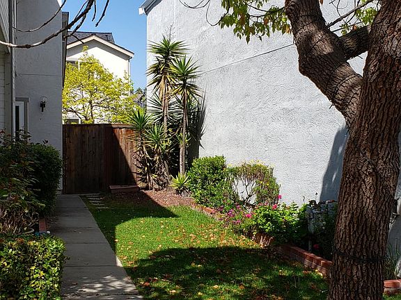 Front yard / Side yard