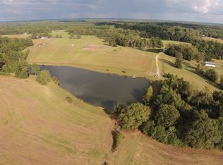 0 Perkins Rd, Milner, GA 30257