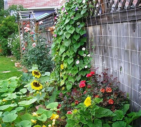 Side Flower Gardens