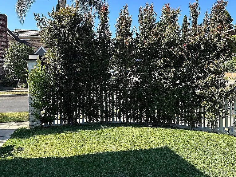 Dunoon Lane, Los Angeles — Photo 4