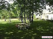 serene park like treed backyard