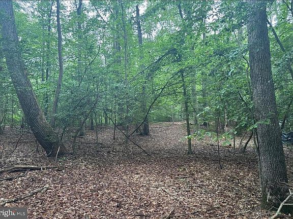 2nd image of 16661 Bald Eagle School Rd